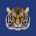 Tiger Financial (@tfnn) Twitter profile photo Tiger Financial (@tfnn) Twitter profile photo