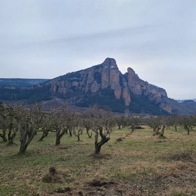 En el mundo genial de las cosas que dices, hay historias de buenos y malos felices