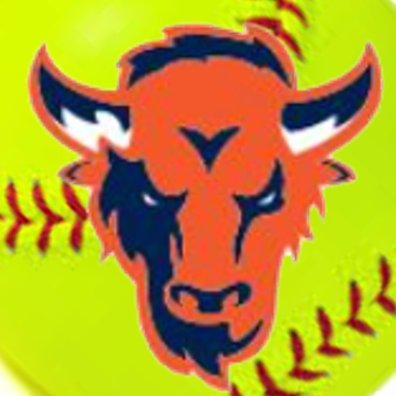 BGBisonSoftball Profile Picture