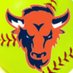 BGBisonSoftball (@bgbisonsoftball) Twitter profile photo BGBisonSoftball (@bgbisonsoftball) Twitter profile photo