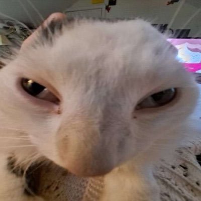 CrackCat_1's profile picture. I’m just a screwed up cat fr. Cashapp: $CrackCat1