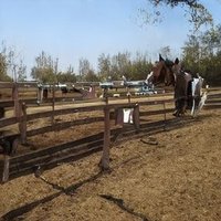 Megan Hill❤️ Memecoin (@meganhi14139504) 's Twitter Profile