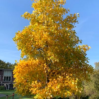 YSH8419's profile picture. 