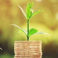 Sıfırdan Zirveye(Acemi Borsacı) (@okuyana68158762) Twitter profile photo