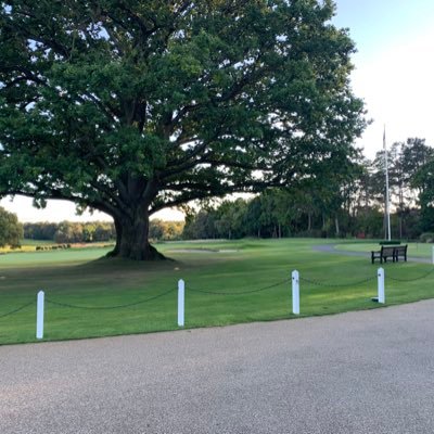 Dad, Grandad 😲, golfer and love small business’s that do their stuff. 💡