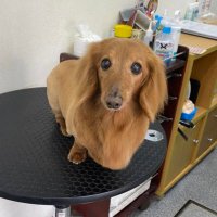 浅野 環 (@asano1958) Twitter profile photo