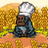 fachmaea's profile image