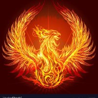 BB (@z381969) 's Twitter Profile Photo