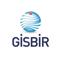 GİSBİR(@GISBIR) 's Twitter Profile Photo