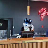 nickvanderveen (@mexxhusky) 's Twitter Profile