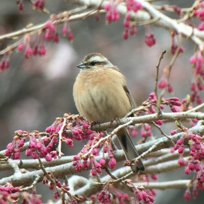 d3C4C5BKJeJhCc9's profile picture. 