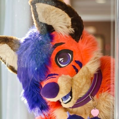 28|||bi|| fursuiter by @Paciuloo 🐾 theme park lover, car lover. speaks 🇳🇱/🇬🇧 occasionally nsfw.