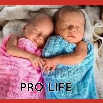 🇮🇹 I follow back! #IStandWithFrPavone #MAGA #VoteProLife #BackTheBlue #AllLivesMatter #ASRoma 🇺🇸 ~ 🇮🇱