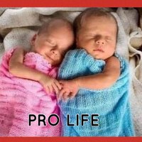 carm@roma (@carmgoog) 's Twitter Profile