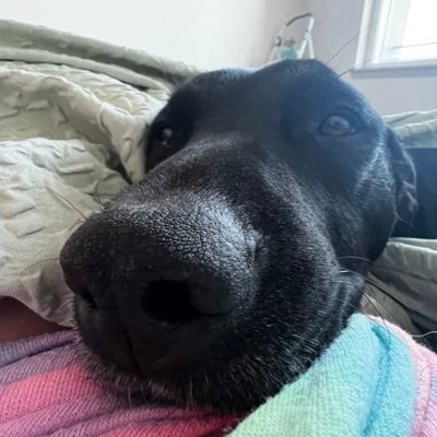 khansequences's profile picture. presenting mood congruent tweets