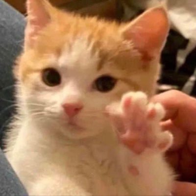 lhailaaaa's profile picture. BTS💜