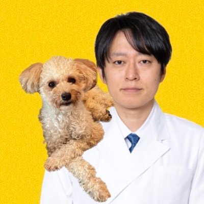 美容外科・美容後遺症診療を行う医師(@prs_asahi)が、質問に答えるためのアカウントです。 質問前に一度、固定ツイートご参照いただけると幸いです。たまに飼い犬のハッチ(通称ちゃまんorはっちまん、♂保護犬、犬種不明🐶)との日常をつぶやきます。