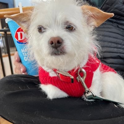 ScofiTom's profile picture. 