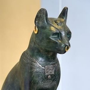 AichaKandichaa's profile picture. Siamo tutti 🐞