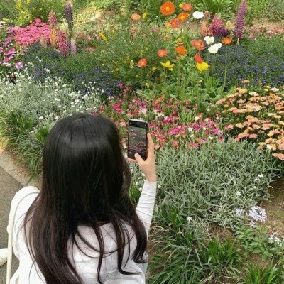 LxxkT6's profile picture. 부드럽지만 약하지 않은 꽃이 되십시오. 🐈⭐️