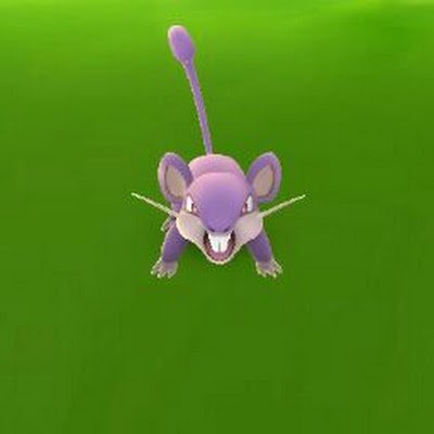 n0tn4m3d's profile picture. 