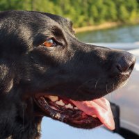 Steven Wright (@stevenwright501) 's Twitter Profile Photo