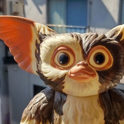 昔、野狐。今、木常。
趣味で、人間&ローマ・ブリテンの妖精VSクトゥルー神話生物という誰得なお話を書いております。たまに筋トレ、居合など。
拙作「紙杯の騎士」。もし、お暇でしたら
https://t.co/NfXPTY2VrA