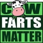 Cow Farts