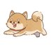 mat-JP🥞 (@matsu_doglover) Twitter profile photo mat-JP🥞 (@matsu_doglover) Twitter profile photo