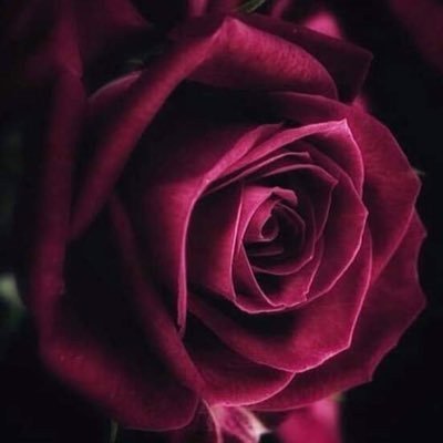 ﴿فَسَبِّحْ بِحَمْدِ رَبِّكَ وَكُن مِّنَ السَّاجِدِينَ﴾