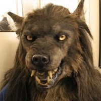 Lobão Cinéfilo (@lobaocruel) 's Twitter Profile