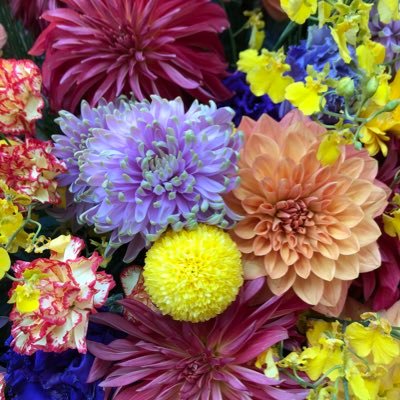 misa5855's profile picture. 2024年にポーランド🇵🇱ワルシャワに引っ越しました！海外在住、ヨーロッパ在住、欧州在住🏠