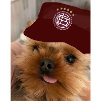 Facu πΆοΈπ¦π·π±π» (@facugranate_) 's Twitter Profile
