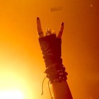 The Lens of Leo (@thelensofleo) 's Twitter Profile