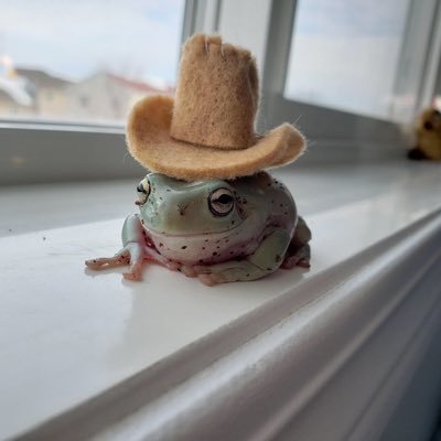 THECHIEF1515's profile picture. 