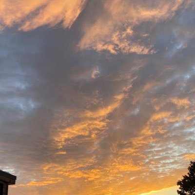 emilyzehnder's profile picture. ever evolving