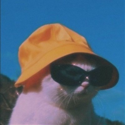 RubnCubero1's profile picture. 