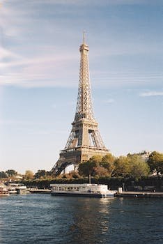 ReyhanOdaba8's profile picture. 