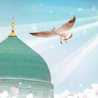 Mubarak (@haba_haba8668) Twitter profile photo