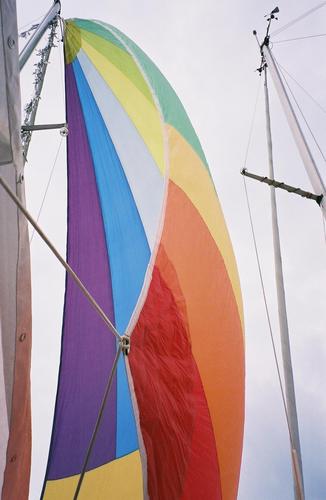 bombschell48's profile picture. 