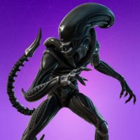 Golden Vulture (@goldenvulture2) 's Twitter Profile