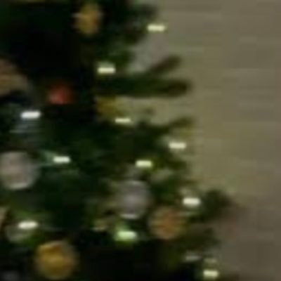 asdzxcqwepoimnl's profile picture. 法学部/🇫🇷/04/🚹