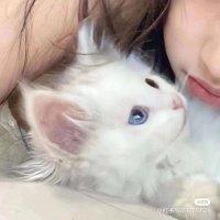 枸杞叶 (@guqy6) 's Twitter Profile