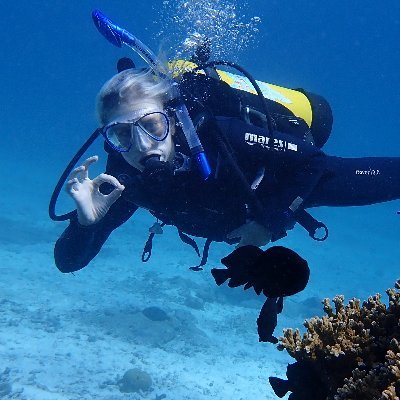 PhD candidate at the Marine Microbial Symbiosis lab @UniMelb interested in coral-associated bacteria and assisted evolution 🪸 she/her 🏳️‍🌈