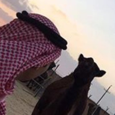 AlmaghrabiT Profile Picture