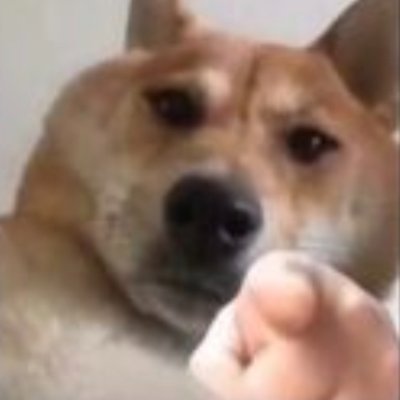 Rouya_1's profile picture. 