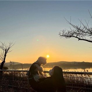 Kanae87735098's profile picture. 👑夢ノート100人受講
夫・子ども（4歳・1歳）
子育てコーチング✨
LINEしてね💕