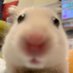 iDORU~ (@sydneerae1o1) Twitter profile photo iDORU~ (@sydneerae1o1) Twitter profile photo
