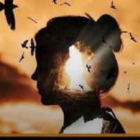 mutlakasonvar (@mutlakasonvar1) Twitter profile photo