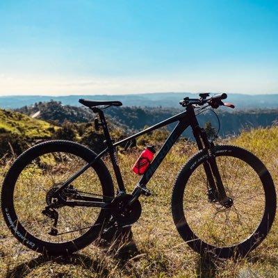 cygooo's profile picture. 